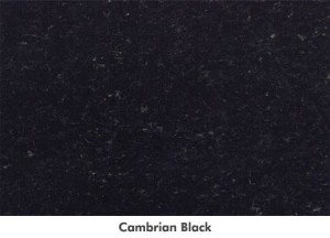 largecambrianblack